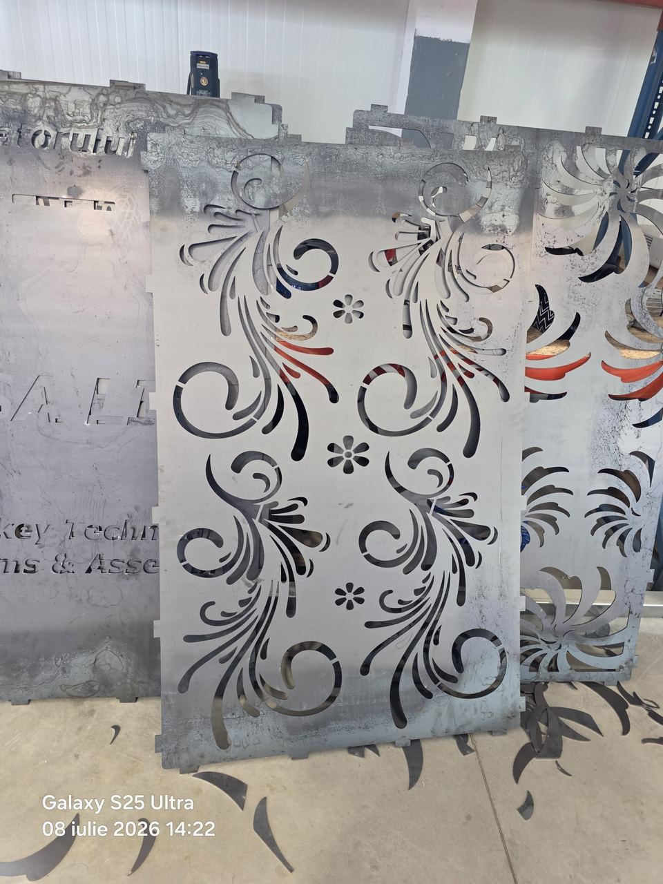 Proiect gard/poartă metalică TTSA 2